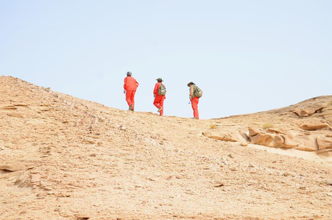 大发welcome首页(中国)官网登录入口